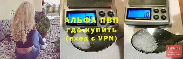 сатива Новокубанск
