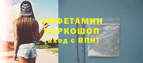 сатива Новокубанск