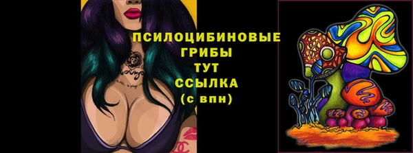каннабис Новозыбков