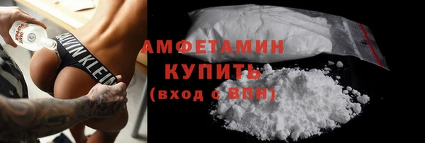 сатива Новокубанск
