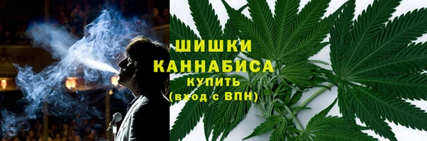сатива Новокубанск