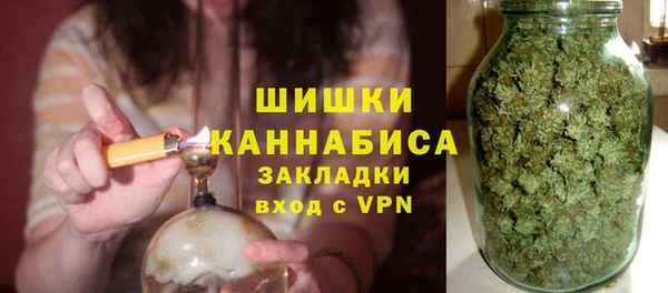сатива Новокубанск