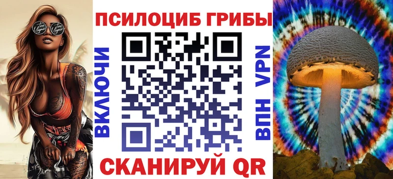 Галлюциногенные грибы Psilocybe  цена   дарк нет официальный сайт  Качканар 