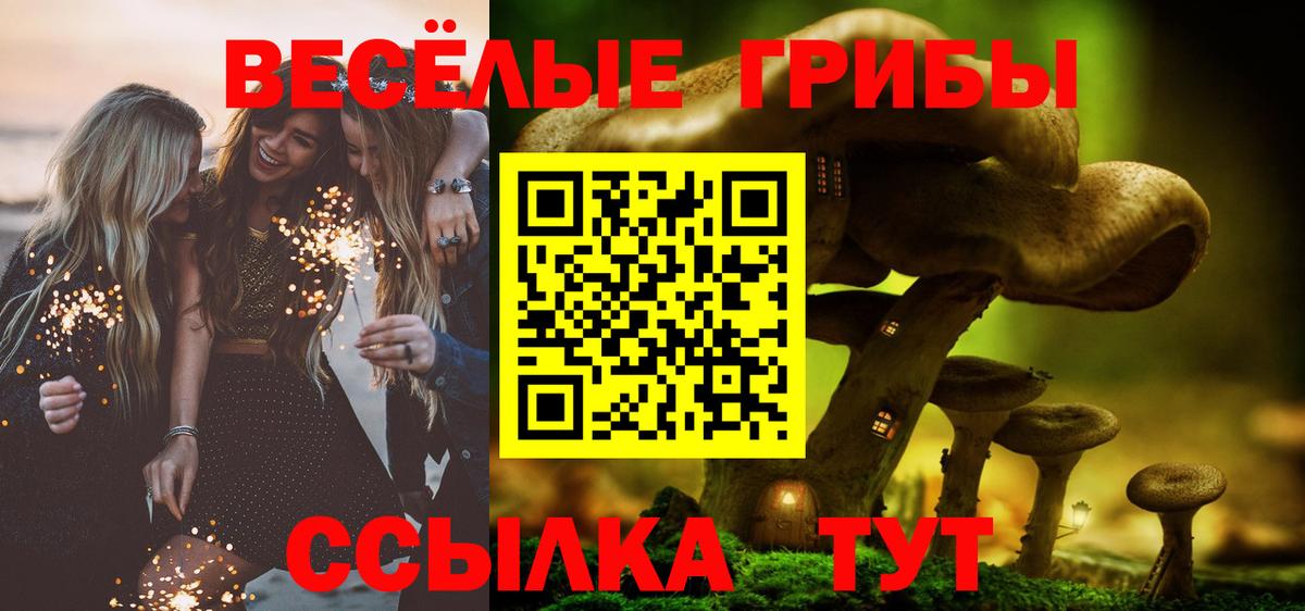Псилоцибиновые грибы прущие грибы  Вход с VPN  Качканар  Псилоцибиновые грибы прущие грибы 